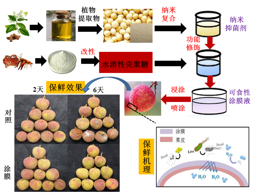 广东省科技厅开展科技助力乡村荔枝保鲜增收行动